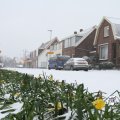IMG_862241