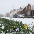 IMG_862242