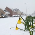 IMG_862246