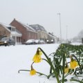 IMG_862248