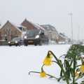 IMG_862250