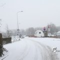 IMG_862271