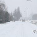 IMG_862277