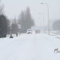 IMG_862278