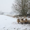 IMG_862282