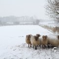 IMG_862284