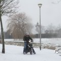 IMG_862291