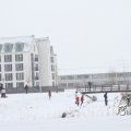 IMG_862295