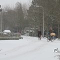 IMG_862308