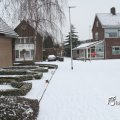 IMG_862329