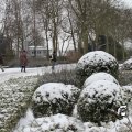 IMG_862332
