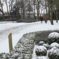 IMG_862333
