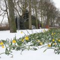 IMG_862346