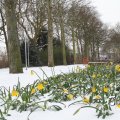 IMG_862347