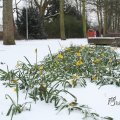 IMG_862349
