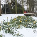 IMG_862350