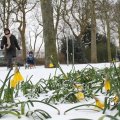 IMG_862351