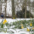 IMG_862352