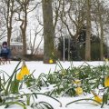 IMG_862353