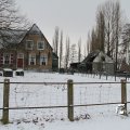 IMG_862388