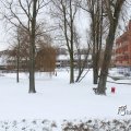 IMG_862413