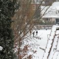 IMG_862433
