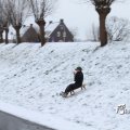 IMG_862439