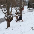 IMG_862441