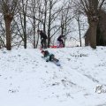 IMG_862443