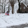IMG_862446