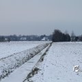 IMG_862481