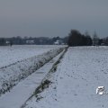 IMG_862483
