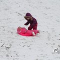IMG_862558