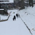 IMG_862631