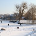 IMG_862673