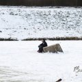 IMG_863197