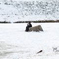 IMG_863198