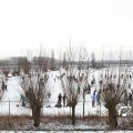 IMG_863206