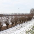 IMG_863208