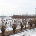 IMG_863210