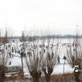 IMG_863211