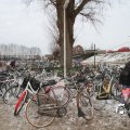 IMG_863646
