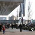IMG_863812