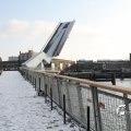 IMG_863932