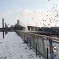 IMG_863949