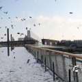 IMG_863950