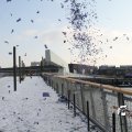 IMG_863951