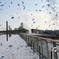 IMG_863952