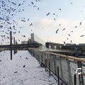 IMG_863953