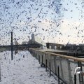 IMG_863954